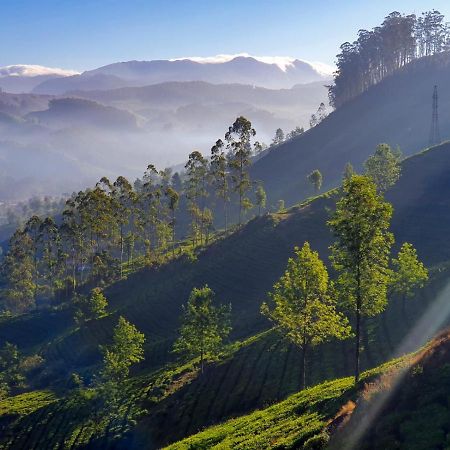 Grace Inn Munnar Homestay Exterior foto